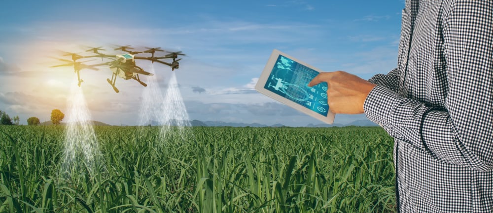 AI in water resource management