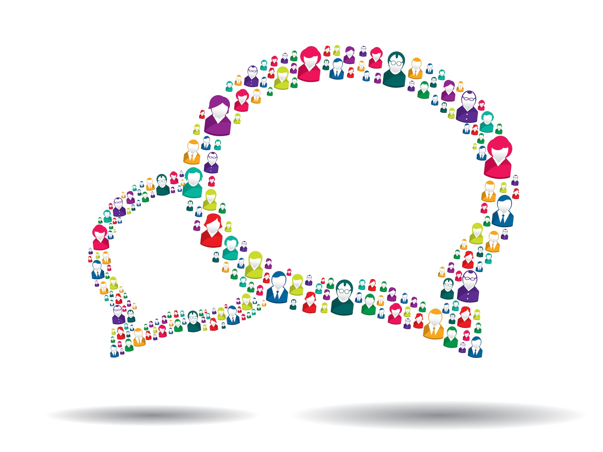 voice of the customer