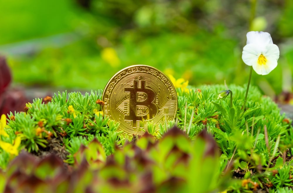environmental impact of cryptocurrency