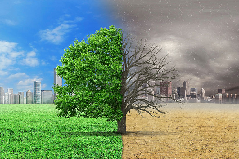 can we guess how blockchain can save the environment iot